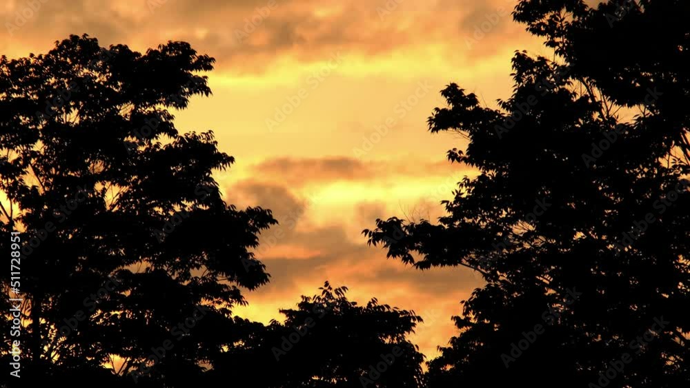 夕焼け 夕焼け