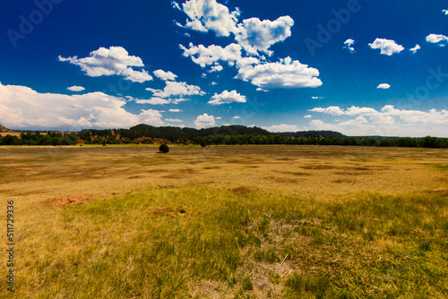 Prairie Dog Town, Devil's Tower National Monument, Wyoming