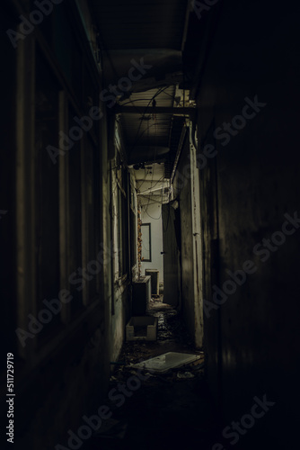 The corridors inside a terrifying abandoned building are like in a horror movie with leaves on the floor.The interior of an abandoned house, road to hell. An old abandoned building © Tanawit