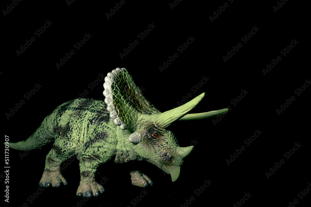 Fototapeta premium Toy herbivore dinosaur on a black background. Toy Triceratops