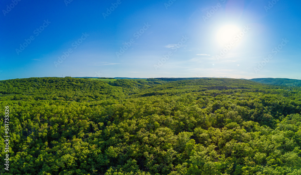 Panorama on forests with spring foliage shelter hills and the Balkan Mountains under a clear sky against a sunset