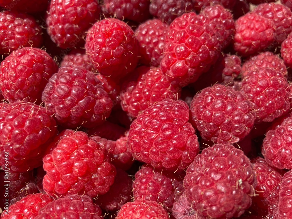 A bunch of red fresh tasty raspberries A bunch of red fresh tasty raspberries