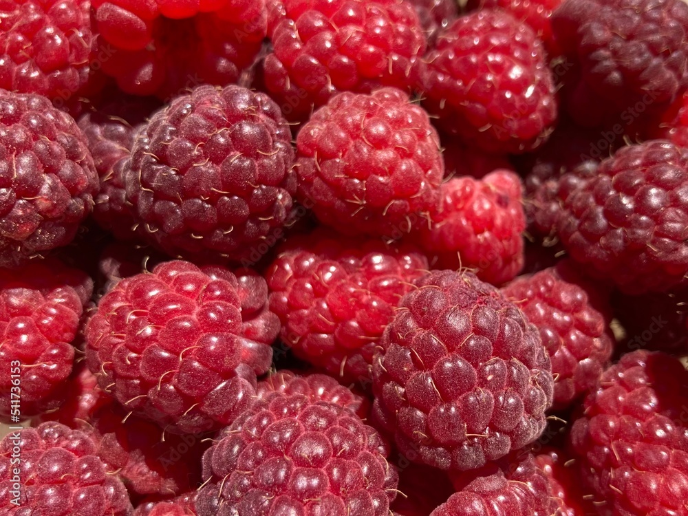 A bunch of red fresh tasty raspberries A bunch of red fresh tasty raspberries