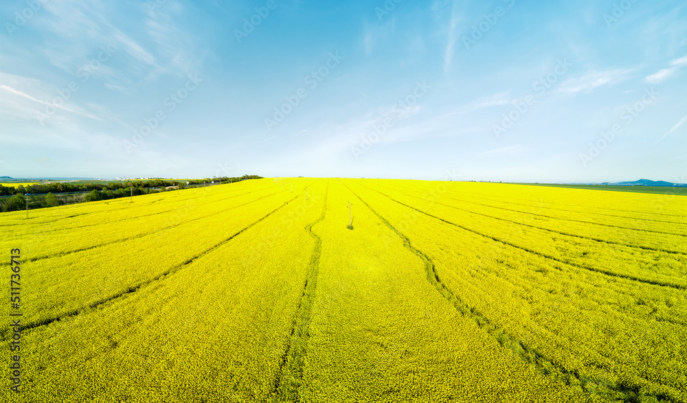 Panorama of the fields with a plant in a valley against the background of the village and the sky in Bulgaria