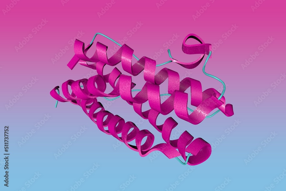 Crystal structure of the human leukemia inhibitory factor (LIF