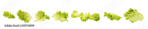 Vászonkép Fresh green lettuce leaves isolated on white background