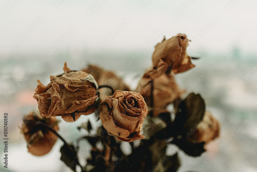 Close up of dried yellow rose flowers on the bar at the window. Close up of dried yellow rose flowers on the bar at the window.