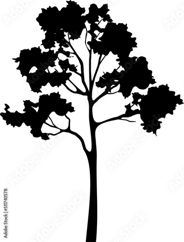 Black silhouette of tree isolated on white background