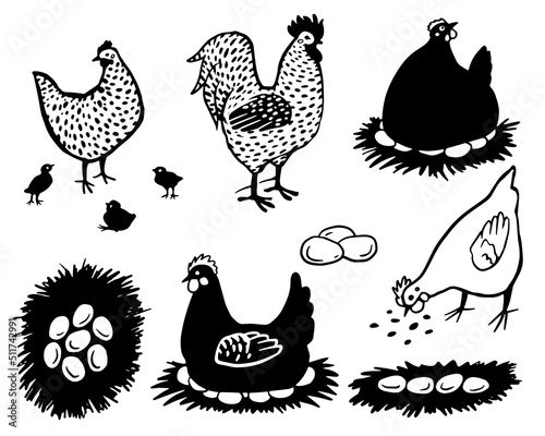 Chicken vector hand drawn collection. Chicken, hen with nest, rooster, cock, eggs and chicks isolated on white background for poster, flyer, farm package design.