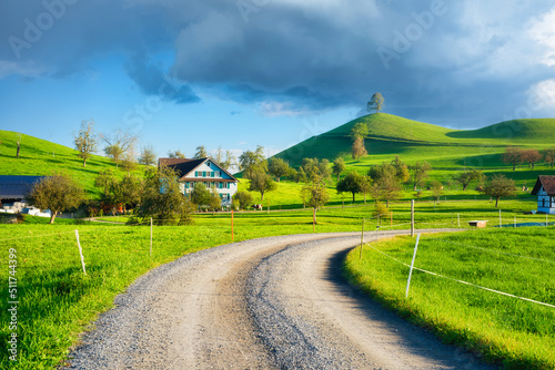 European countryside. Tree on top of the hill. Fields and pastures. Agricultu...