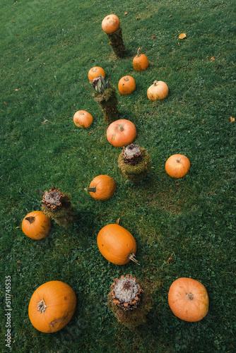 Halloween pumpkins in autumn