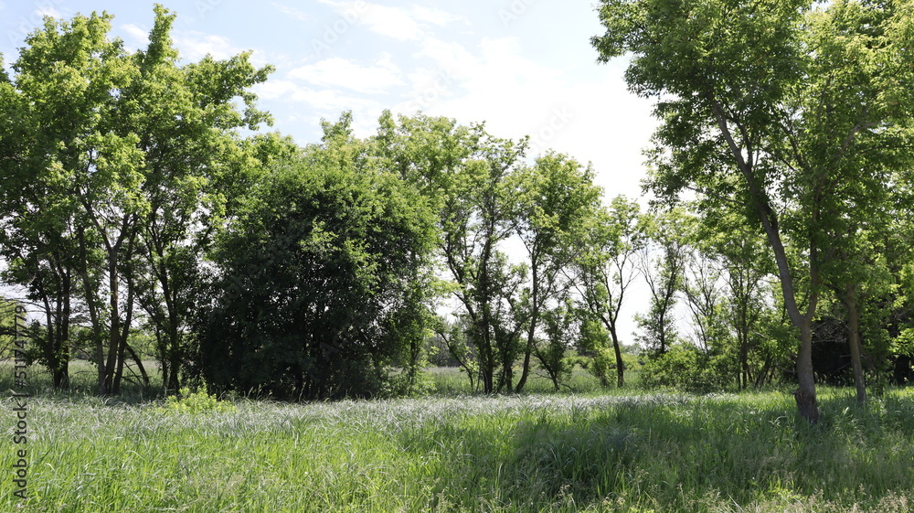 Obraz premium Hiking at a nature preserve in Pleasant Prairie, WI