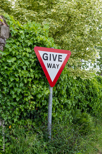 Give way road sign near to leaves and plants