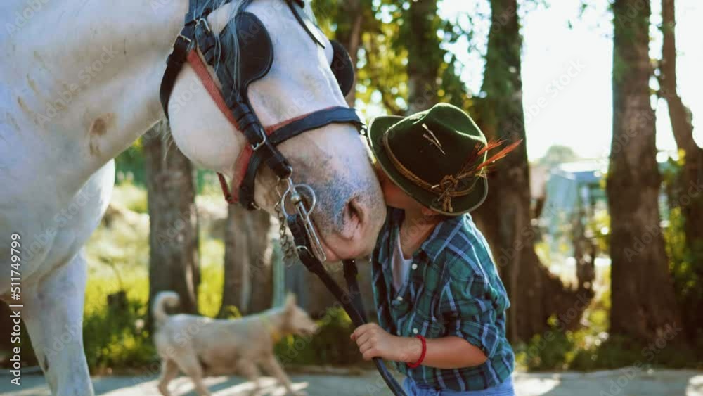 Authentic close up shot of a little boy with a hat is caressing and kissing a white horse Authentic close up shot of a little boy with a hat is caressing and kissing a white horse