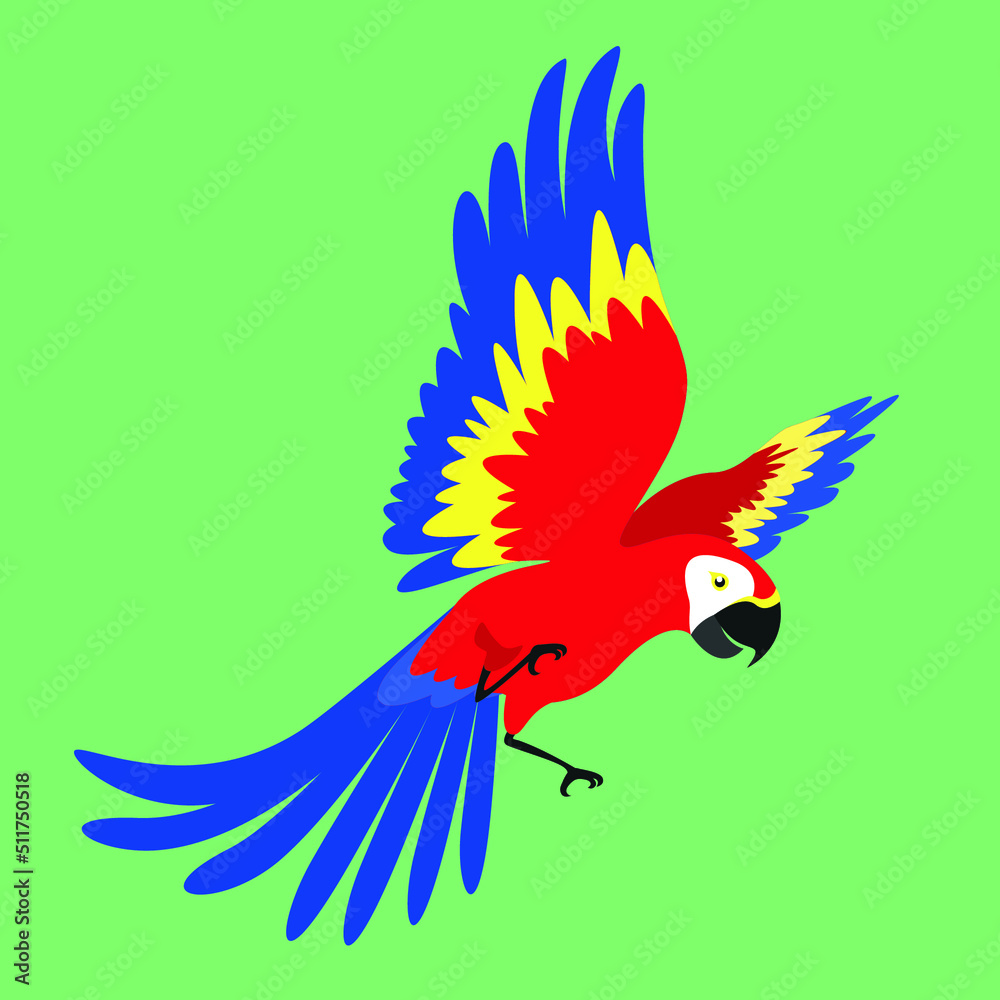 Naklejka premium Parrot spread its wings in flight
