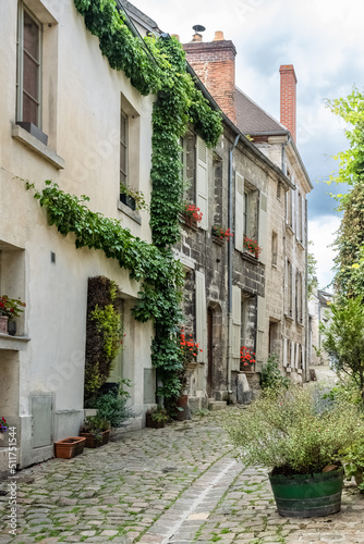 Fototapeta Naklejka Na Ścianę i Meble -  Senlis, medieval city in France, typical cobblestone street with ancient houses

