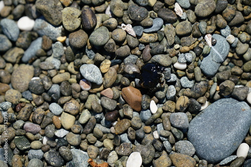 close-up of a part of the beach with sand and a lot of microplastic pollution and oil