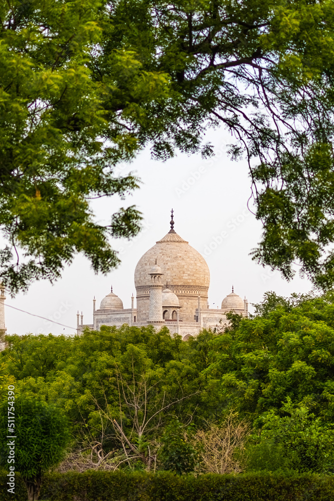 Fototapeta premium A View of Taj Mahal