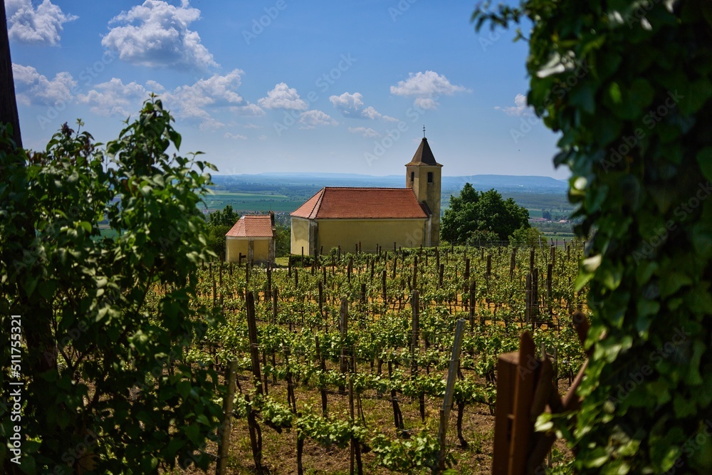 Rural landscape of a wine region with church in spring or early summer. Somlo, Hungary, St. Margit Chapel