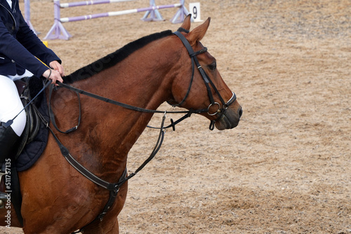Rider on a brown horse in competition