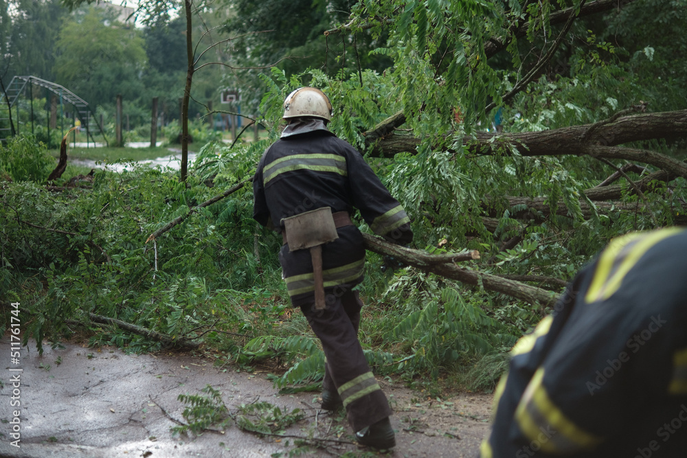 firefighters help clean up fallen tree on cars after the storm in a rainy day firefighters help clean up fallen tree on cars after the storm in a rainy day