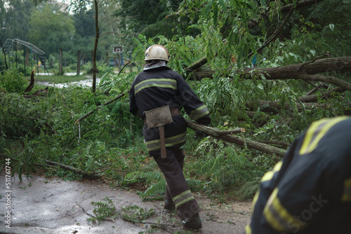 firefighters help clean up fallen tree on cars after the storm in a rainy day