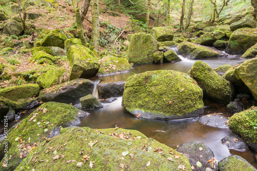 Padley Gorge, Peak District National Park in autumn