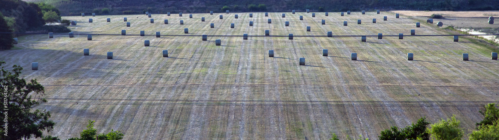Obraz premium Das gerollte Feld