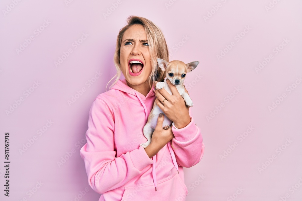 Beautiful young blonde woman hugging cute chihuahua dog angry and mad screaming frustrated and furious, shouting with anger looking up. Beautiful young blonde woman hugging cute chihuahua dog angry and mad screaming frustrated and furious, shouting with anger looking up.