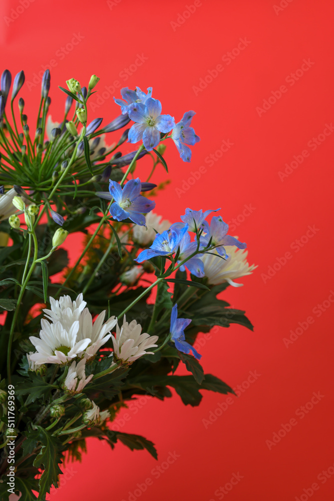 Fototapeta premium 赤背景のデルフィニウムと白菊のフラワーアレンジメント