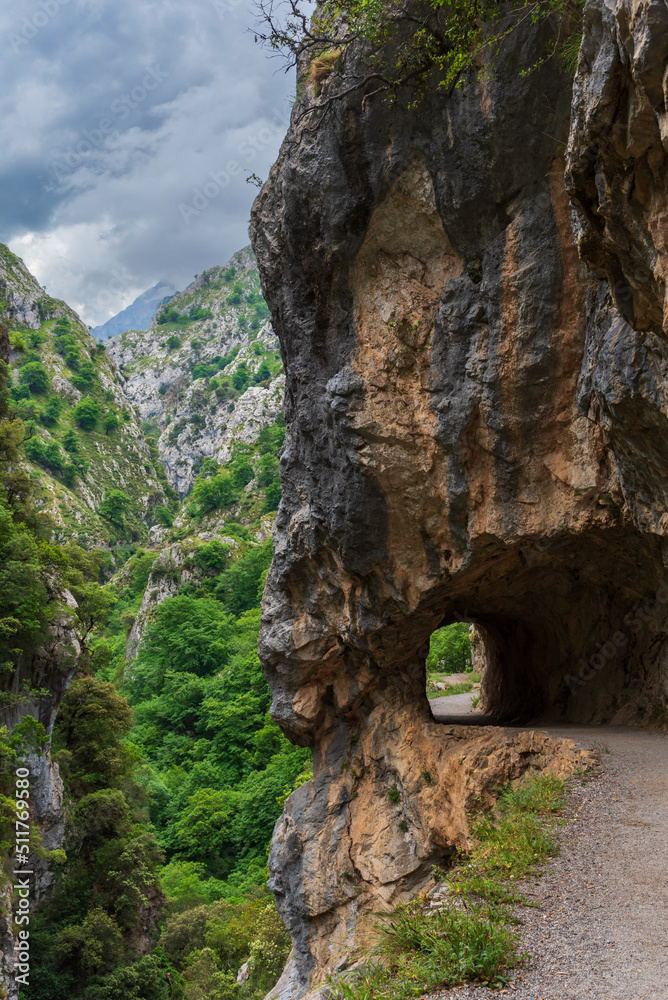 Senda del rio Cares, a path that runs through a gorge in the Picos de Europa, in the Catabrica mountain range, Spain.