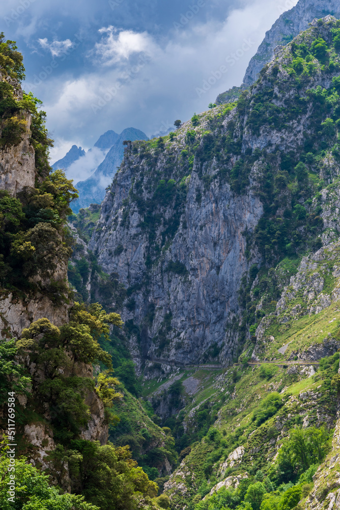 Senda del rio Cares, a path that runs through a gorge in the Picos de Europa, in the Catabrica mountain range, Spain.