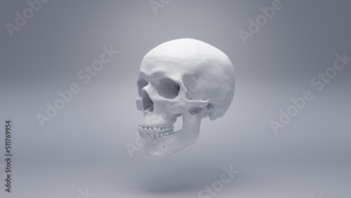 Human skull on white background, render 3d, white material