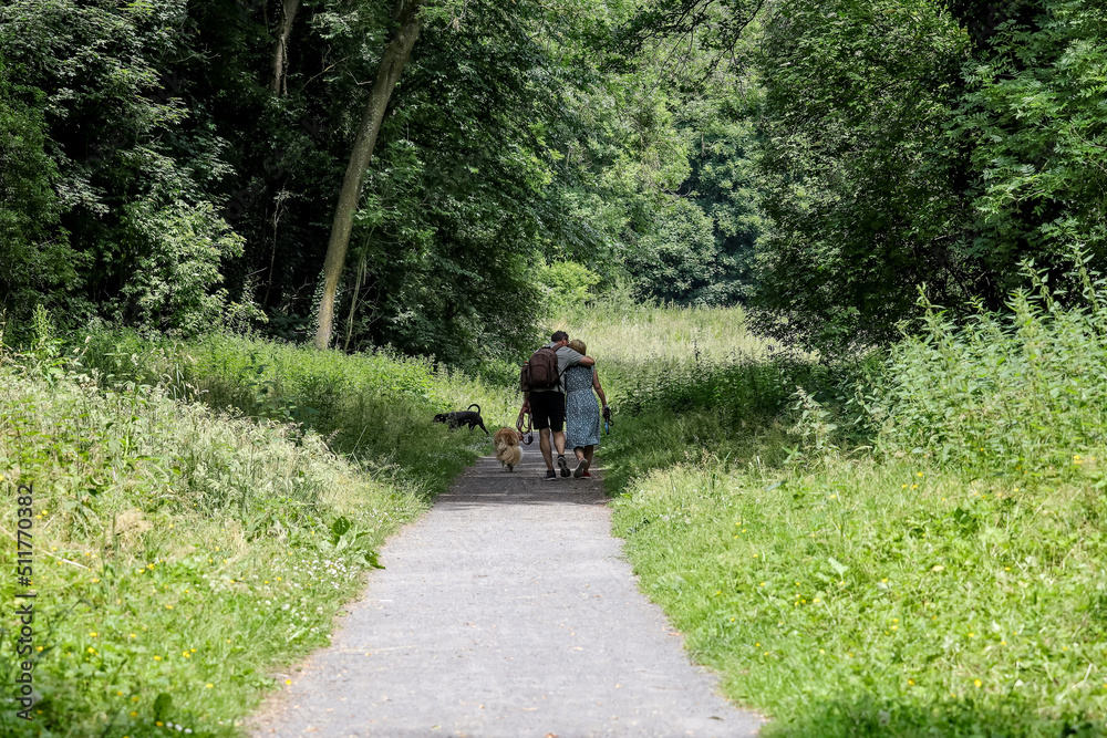 un couple d'amoureux qui se promène en foret avec leur chiens