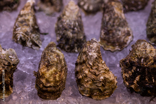 close up of cones seafood fish oysters photo