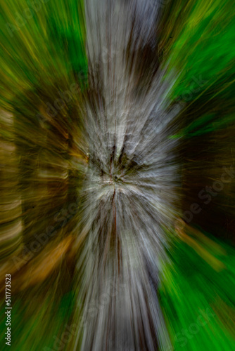 abstract design of star burst shaped light special effect created created by zooming in and out lens during long time exposure on birch tree in the woods forest or park outdoors vertical format 