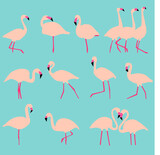 set of flamingos vector