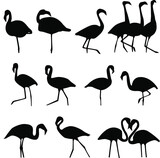 Vector flamingo silhouettes on isolated white background. Icon set.