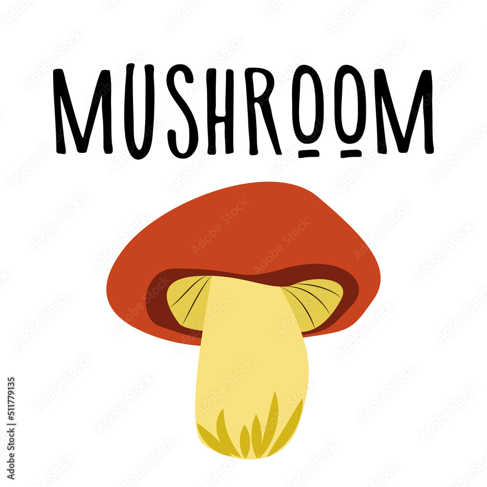 mushroom vector illustration cartoon drawing for postcards, design