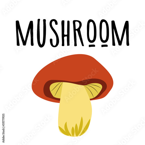 mushroom vector illustration cartoon drawing for postcards, design