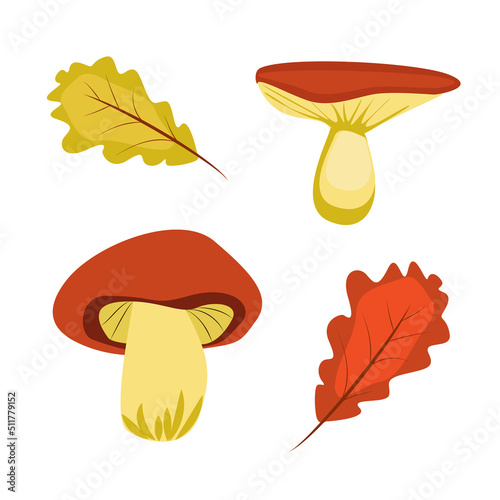 mushroom vector illustration cartoon drawing for postcards, design