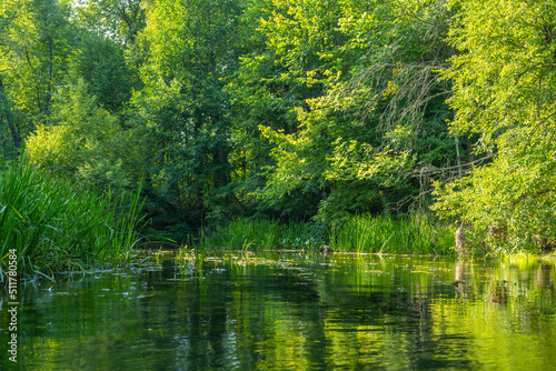 Beautiful summer landscape of the Small Cheremshan river with forest  banks  grass and current. The Ulyanovsk.