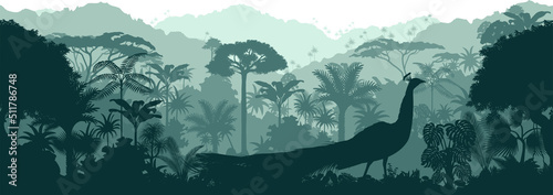 Fotografie, Obraz Vector horizontal seamless tropical rainforest Jungle background with peacock pe