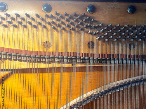 Strings and pegs inside vintage wooden piano