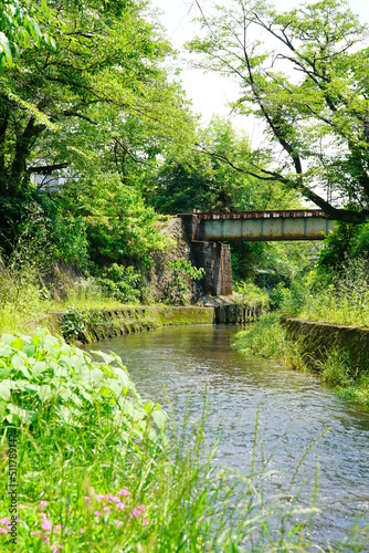 新緑の小川と鉄道橋