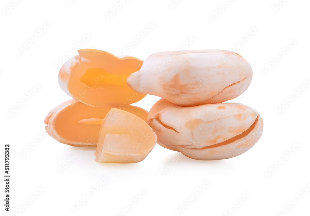 Asian Palmyra palm, Toddy palm, Sugar palm and Cambodian palm