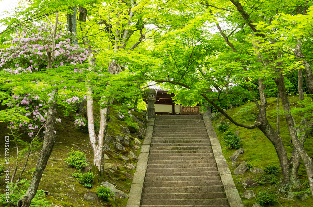 京都嵯峨野 常寂光寺 京都嵯峨野 常寂光寺