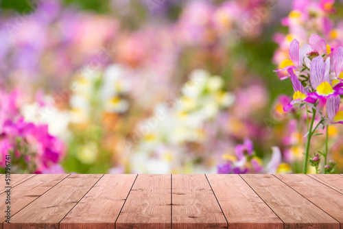 Empty wood table top and blurred yellow tulip flower tree in garden background - can used for display or montage your products.