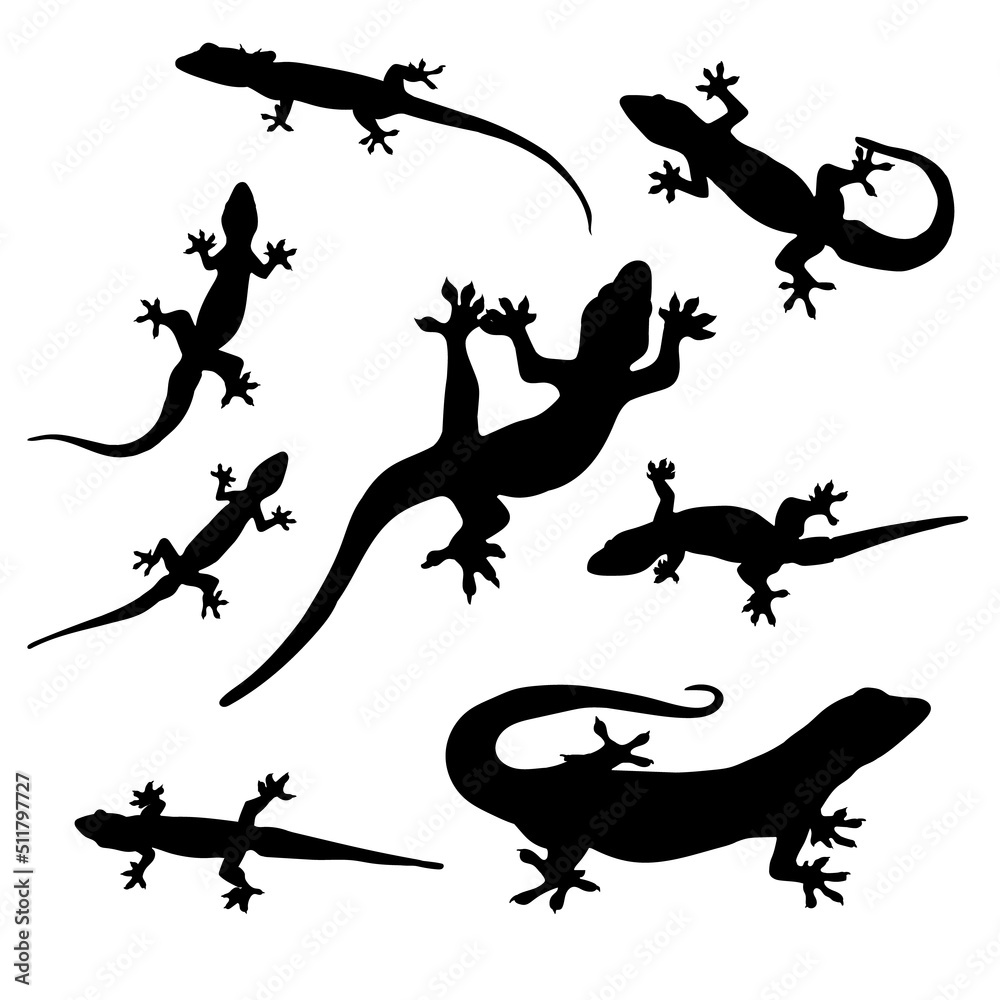 lizard movements sketch collection vectors lizard movements sketch collection vectors