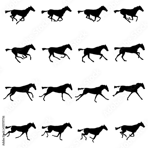 horse running movements sketch collection vectors